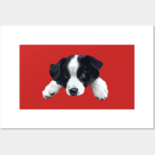 Border Collie Cute Puppy Dog Paws Posters and Art